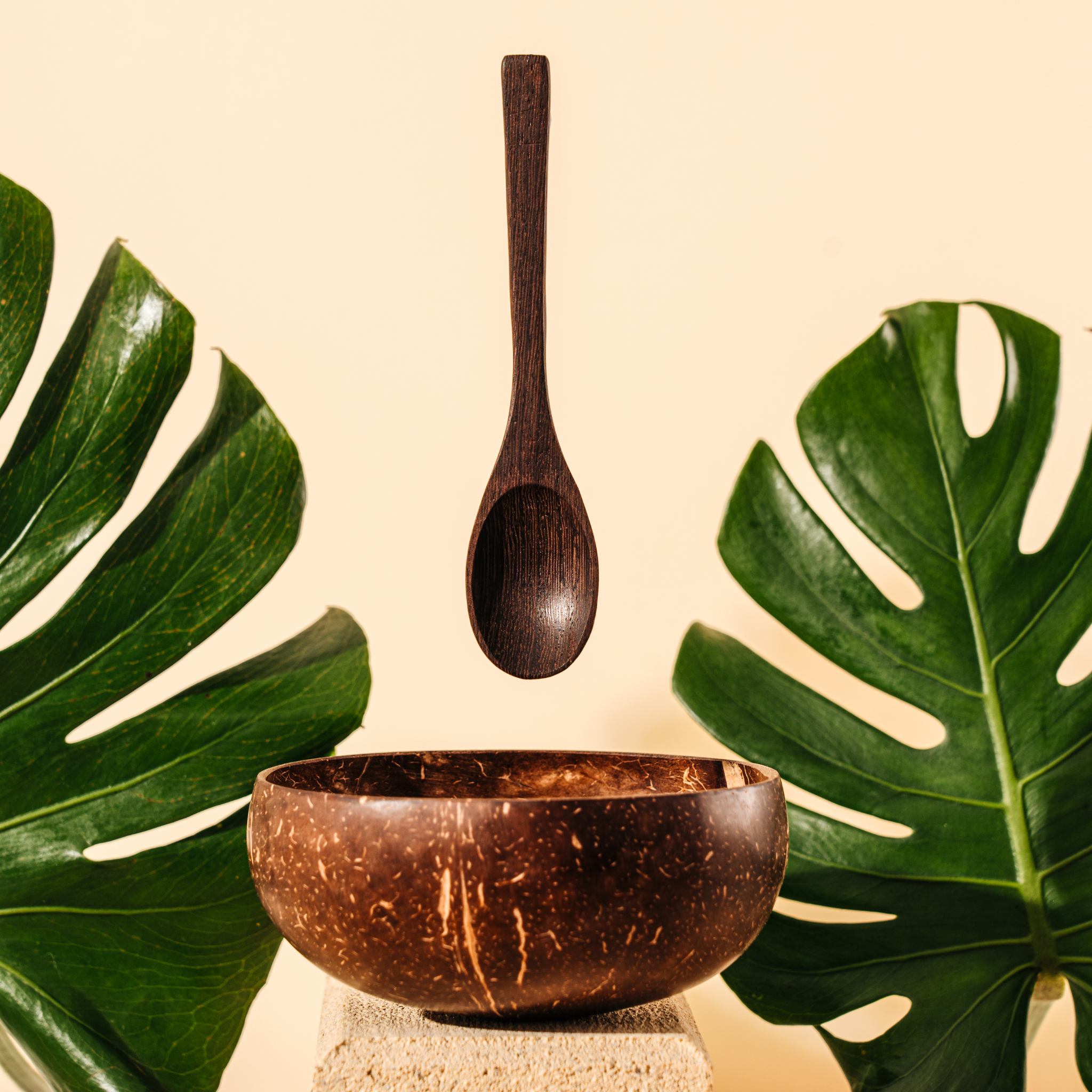Coconut Bowl & Spoon Set