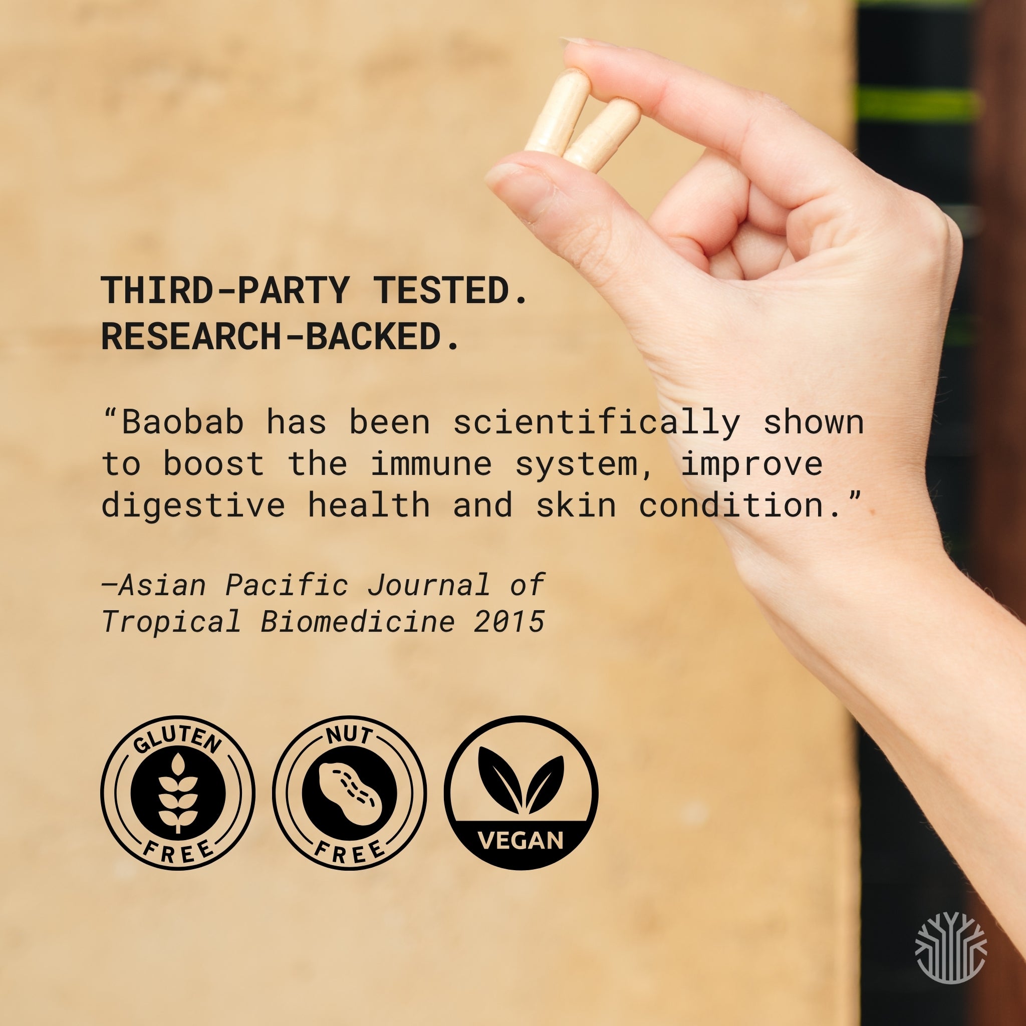 A hand holds two baobab capsules against a warm beige background with a scientific quote about the efficacy of baobab.