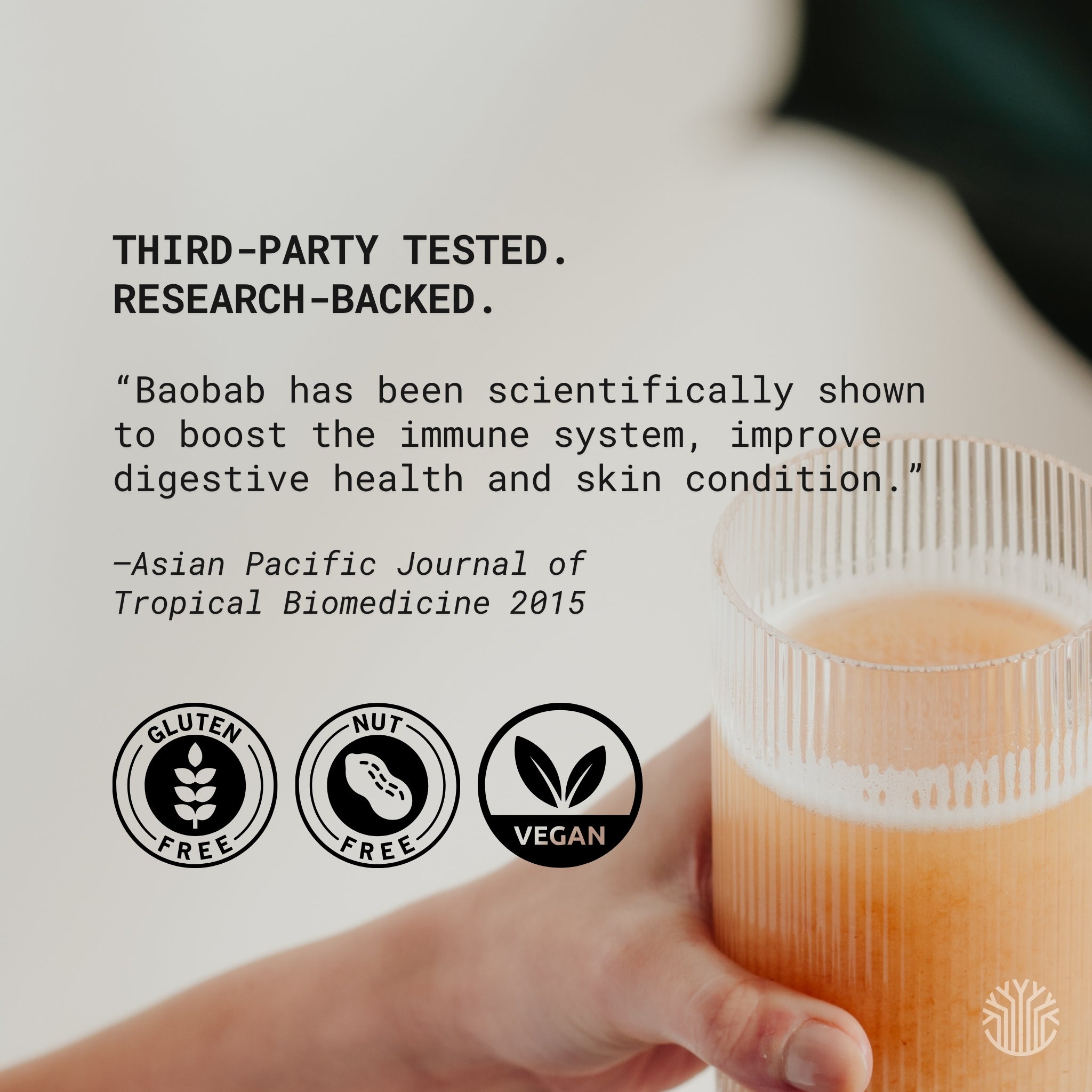 Baobab Powder